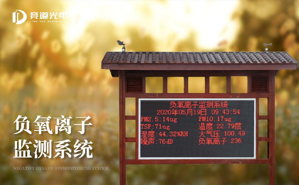 ¸ºÑõÀë×Ó¼à²â×°±¸ ¸ºÑõÀë×Ó¼à²â×°±¸