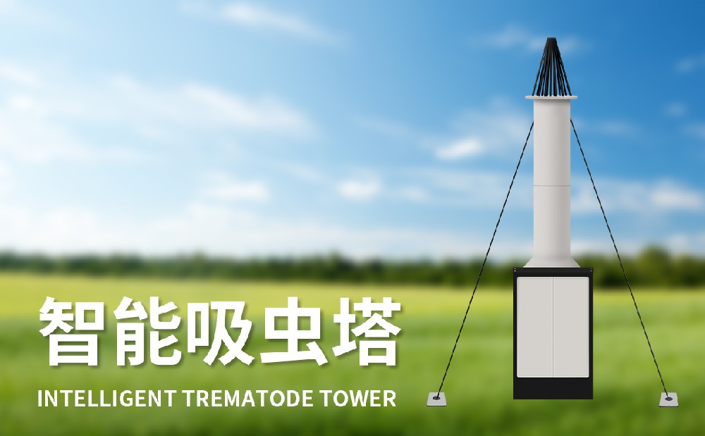 ����������С��Ǩ��������������