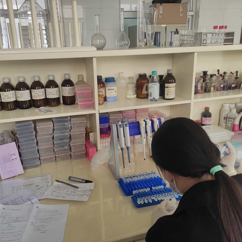 我公司非洲猪瘟检测仪在临汾市食物公司使用