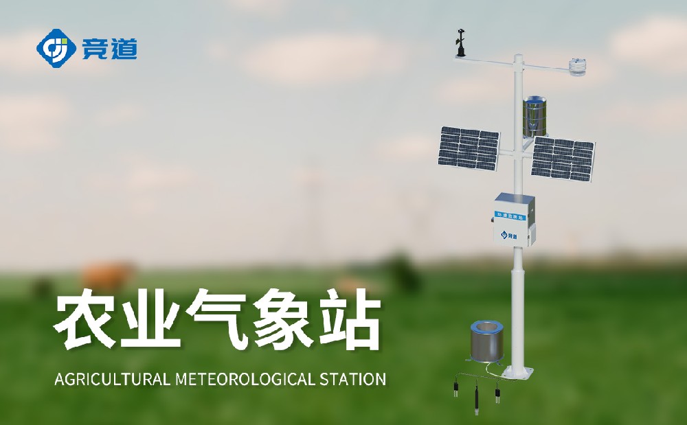 ũ���Զ�����վ����ʳ�����������ܹ�ʩչ��Щ����