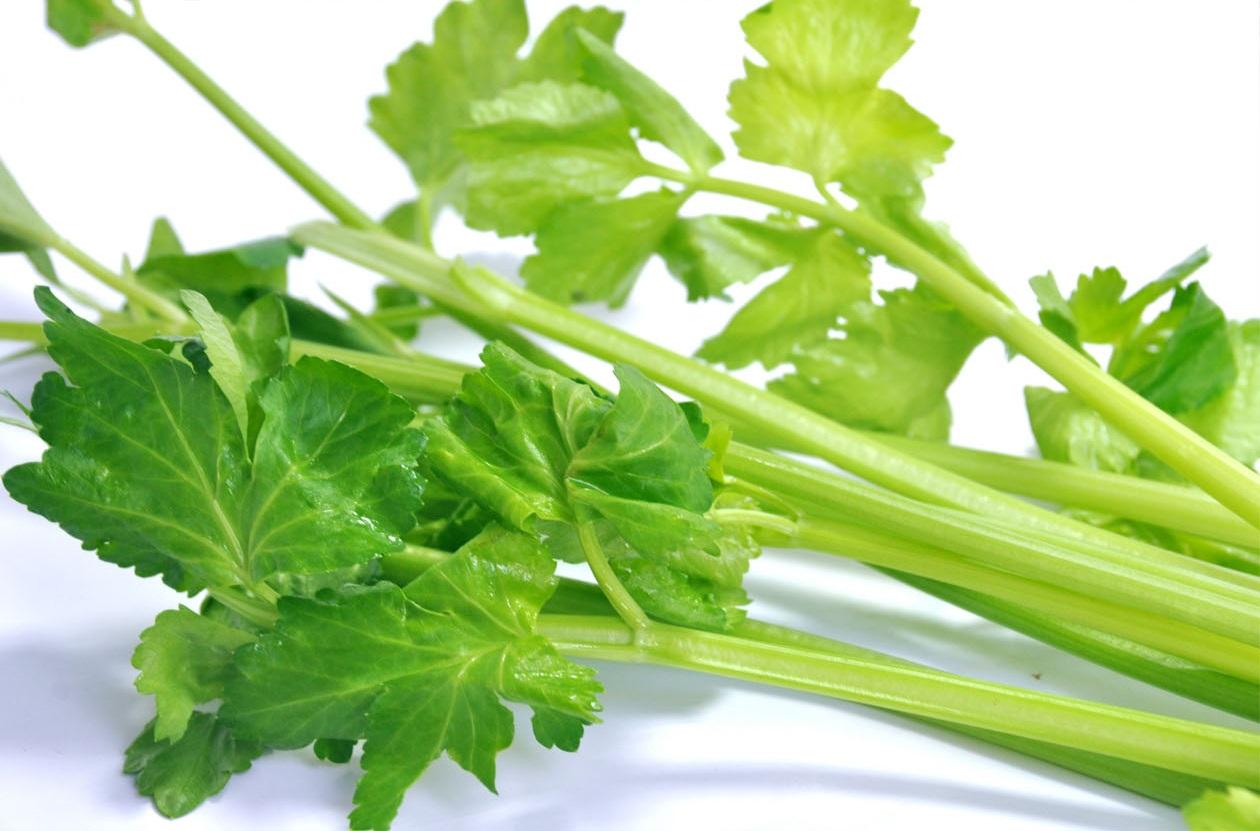 �߲��Ǹ���������������������Щ��λҲ���ã�