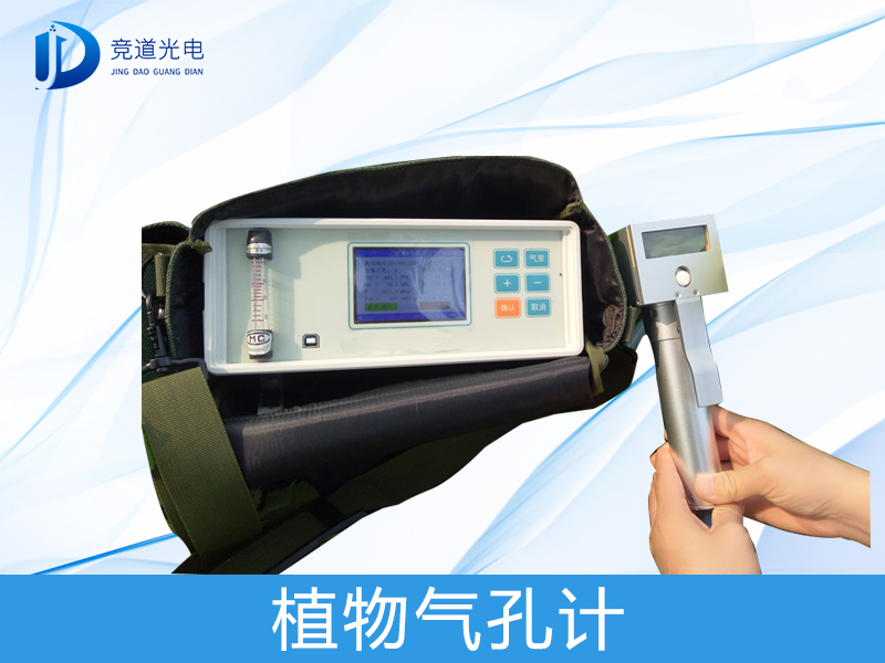 ֲ�����׼���ʲô����������