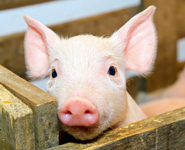 �����������������Щ�ͺ���������������