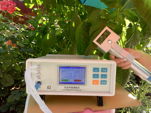 ֲ���������к�Ӧ�ã���������������