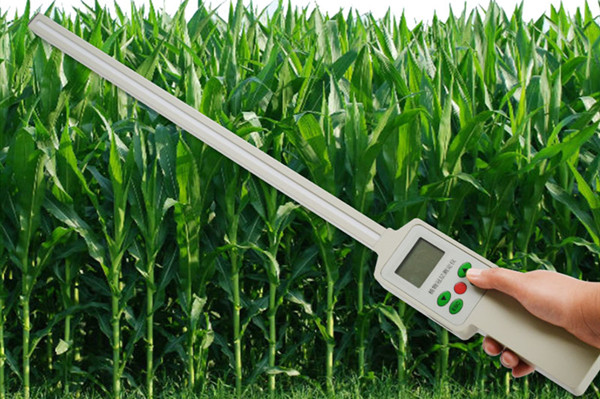 Ҷ���ָ������������ԭ��