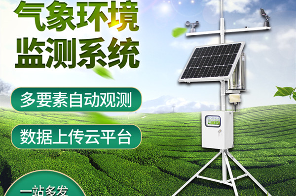 С�������Ӳ�վ����������Щ������������