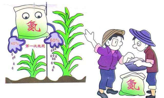 �������װ��������Ч˵��