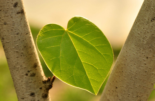 �������òⶨ������Ӱ��������õ�����