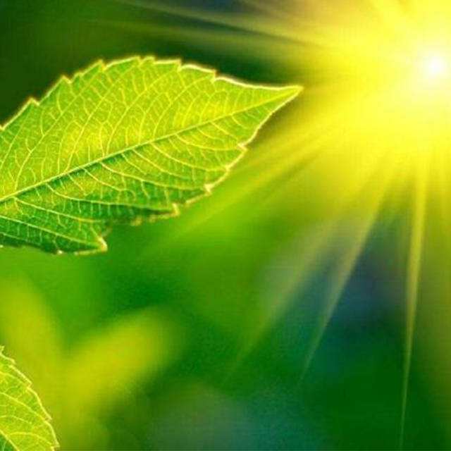 ��Яʽ�������òⶨ�ǲ���ע������