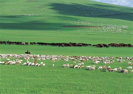 ��ԭ�������μ��ϵͳ