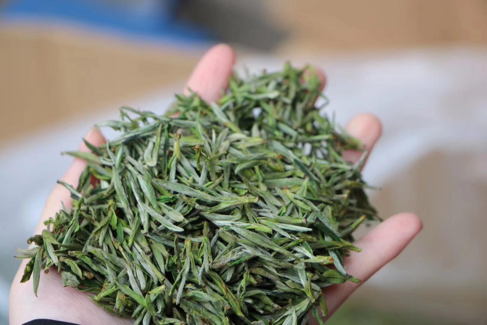 ²èÔ°ÆøÏóÇéÐμà²âϵͳ³§¼Ò¼ÛÇ® ²èÔ°ÆøÏóÇéÐμà²âϵͳ³§¼Ò¼ÛÇ®