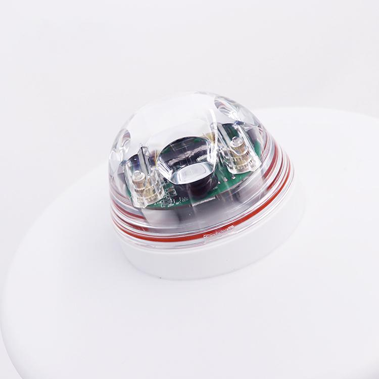 2021�곬�������ٷ������ͺ��г���Ǯ