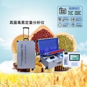 ������ؼ����JD-ZJĥ��������T2����