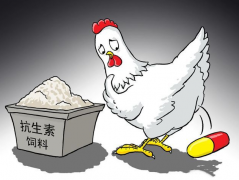 ʳ�￹���ز����������������������⣿��������������