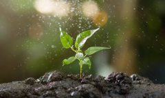 ũҵ����վ�����������ݴ��óͷ�