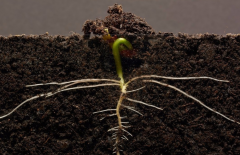 ΪʲôҪ���������л��ʼ������������