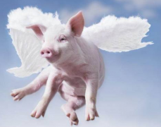 ���������׻������÷��������ļ��������������������